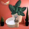 Maceta Autoriego Schnauzer