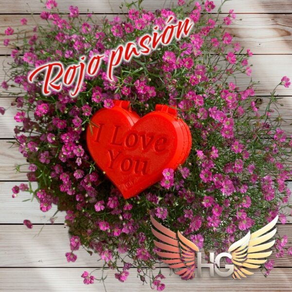 Alhajero corazon i love you